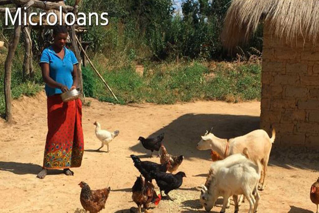 Village Hope International Ministries microloans